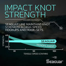 SEAGUAR BLUE LABEL FLUOROCARBON LEADER LINE-3