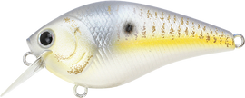 Buy gold-threadfin-shad LUCKY CRAFT LC 1.5 SQUAREBILL