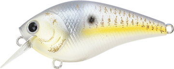 Buy gold-threadfin-shad LUCKY CRAFT LC 1.5 SQUAREBILL