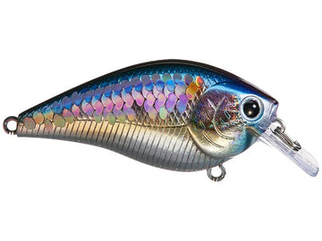 Buy ms-american-shad LUCKY CRAFT LC 1.5 SQUAREBILL