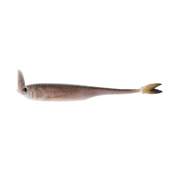 Buy live-minnow 6TH SENSE STROBE SHAKER
