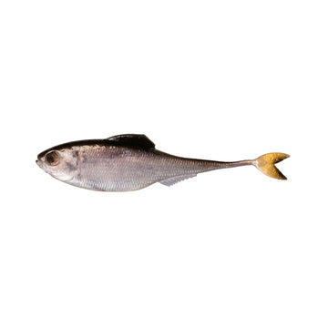6TH SENSE FICTION SHAD - 0