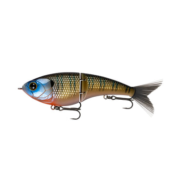 Buy live-bluegill 6TH SENSE JUDO FRESHWATER