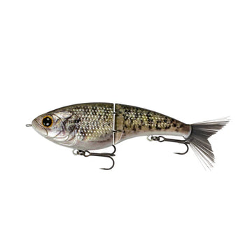 Buy live-crappie 6TH SENSE JUDO FRESHWATER