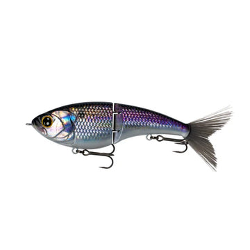 Buy live-gizzard-flash 6TH SENSE JUDO FRESHWATER