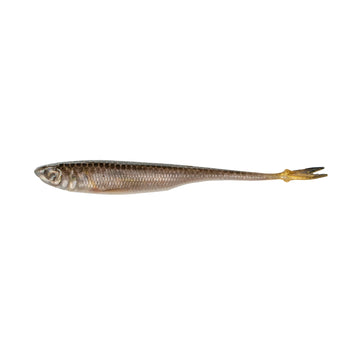 Buy live-minnow 6TH SENSE CRAPPIE STROBE MINNOW