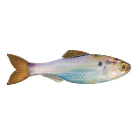 Buy live-gizzard-shad 6TH SENSE PANORAMA PLUMP 5.0