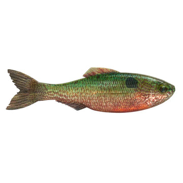Buy live-sunfish 6TH SENSE PLUMP PANORAMA 5.0