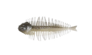 D-STYLE GEELACANTH-5