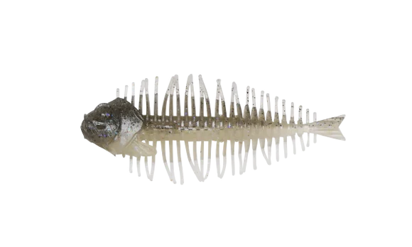 D-STYLE GEELACANTH