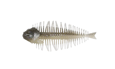 D-STYLE GEELACANTH
