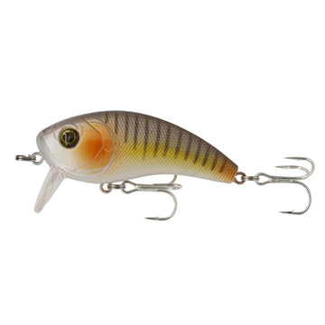 Buy live-croaker 6TH SENSE MOVEMENT 60 WAKE SALT SERIES