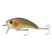 Live Croaker
