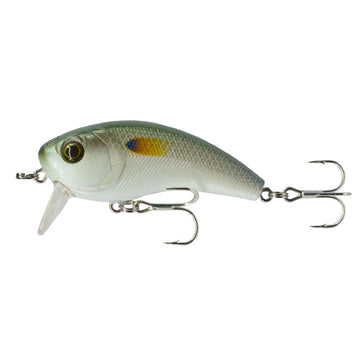 Buy live-mullet 6TH SENSE MOVEMENT 60 WAKE SALT SERIES