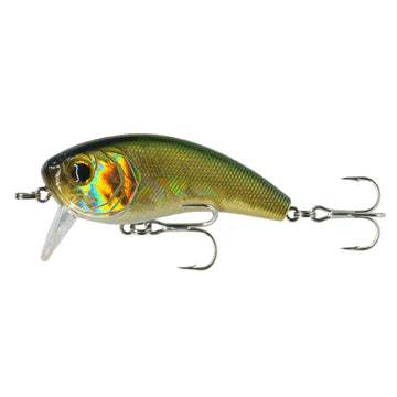 Buy sea-chicken 6TH SENSE MOVEMENT 60 WAKE SALT SERIES