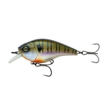 Buy 4k-bluegill 6TH SENSE MINIMAG SB