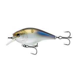Buy 4k-shad 6TH SENSE MINIMAG SB