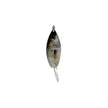Buy silver-mullet AQUA DREAM LIVING WEEDLESS SPOON