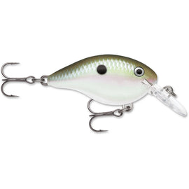 Buy green-gizzard-shad RAPALA DT SERIES CRANKBAITS DT4-12