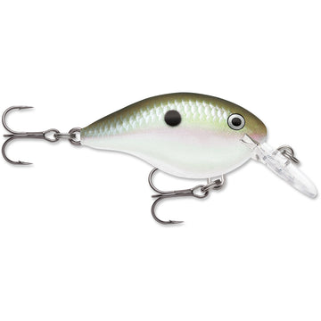 Buy green-gizzard-shad RAPALA DT SERIES CRANKBAITS DT4-12