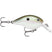 Green Gizzard Shad