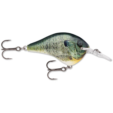 Buy live-bluegill RAPALA DT SERIES CRANKBAITS DT4-12