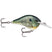 Live Bluegill