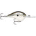 Pearl Grey Shiner