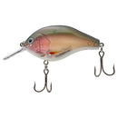 NORIES MARUNOMI FLAT 60-5