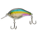 NORIES MARUNOMI FLAT 60-8