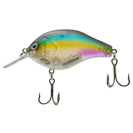 Buy kihada-wakasagi NORIES MARUNOMI FLAT 60