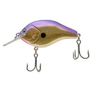 NORIES MARUNOMI FLAT 60-10