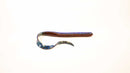 BRUISER BAITS 10" CURLY TAIL-5