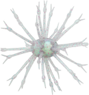 G-RATT POP-A-WEB-10