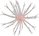 G-RATT POP-A-WEB-11