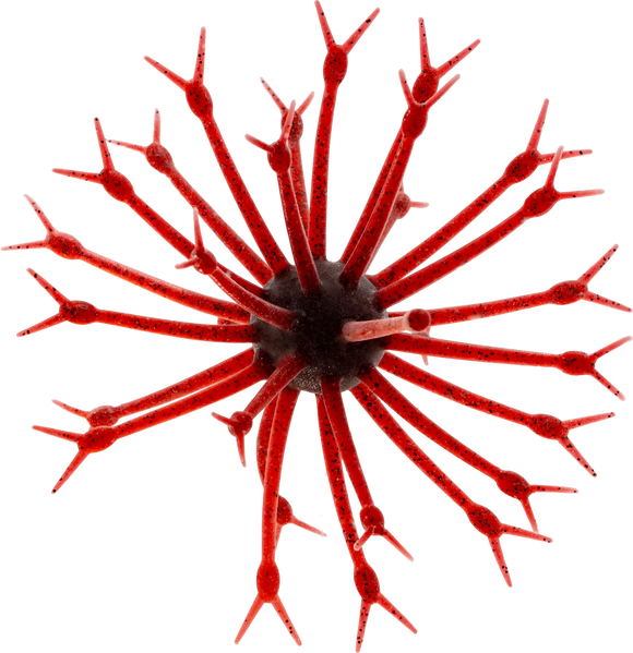 G-RATT POP-A-WEB