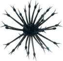 G-RATT POP-A-WEB-15