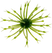 Watermelon Black Flake