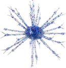 G-RATT POP-A-WEB-16