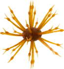 G-RATT POP-A-WEB-17