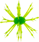 G-RATT POP-A-WEB-18