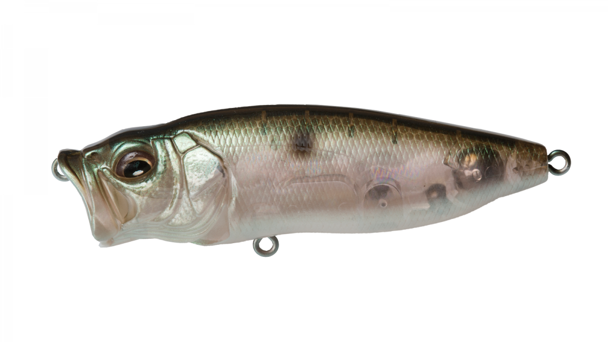 MEGABASS POPMAX | Copperstate Florida