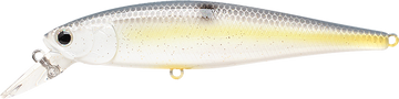 Buy chartreuse-shad LUCKY CRAFT POINTER 100