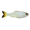 6TH SENSE PANORAMA-13