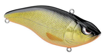 Buy gold-black SPRO ARUKU SHAD 75 SILENT