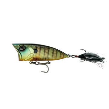 Buy bluegill-fire 6TH SENSE SPLASHBACK POPPER