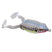 Nasty Shad