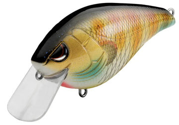 Buy bluegill SPRO HUNTER 65 SB