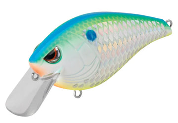 Buy citrus-shad SPRO HUNTER 65 SB