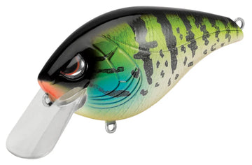 Buy pumpkinseed SPRO HUNTER 65 SB